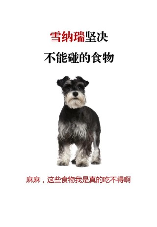 狗狗能吃樱桃吗，狗狗能吃樱桃吗 比熊？