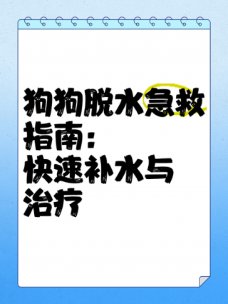 狗狗能喝白糖水吗？狗狗可以喂白糖水吗（最新）