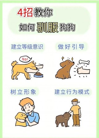 怎样让狗狗听话，（怎样让狗狗听话懂事）