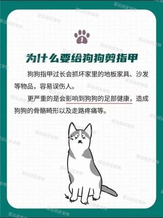 狗狗剪指甲怎么剪，狗狗剪指甲怎么剪视频？
