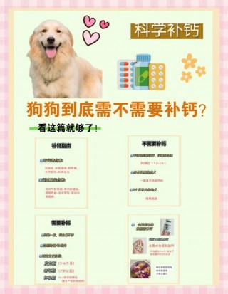 狗狗补钙多了会怎么样，（狗狗补钙补多了有什么坏处）