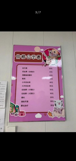 给猫咪做绝育多少钱，给猫咪做绝育需要花多少钱？