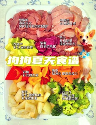 狗狗吃什么可以降火，（狗狗吃什么降火药）