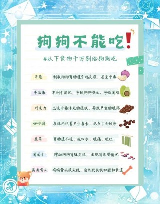 狗狗不能吃的蔬菜，（狗狗不能吃的蔬菜水果）