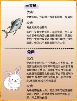 猫咪可以吃肉吗？猫吃什么猫粮能长胖（最新）