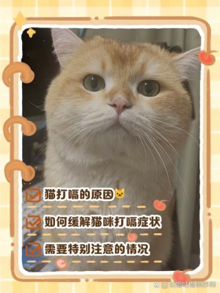 猫咪打嗝怎么办，（猫咪打嗝怎么办如何解决）