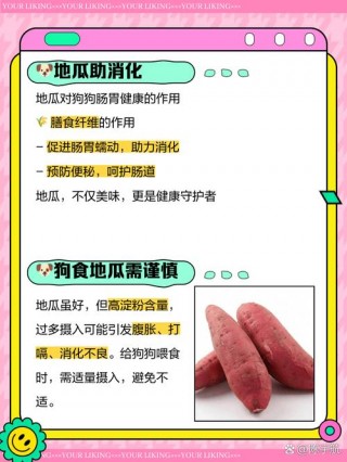 狗狗可以吃红薯么，（狗狗是否能吃红薯）