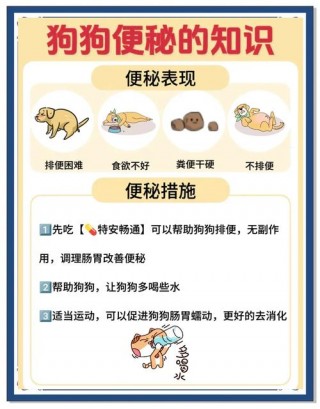 狗狗便秘的表现，（狗狗便秘的表现会弓背）