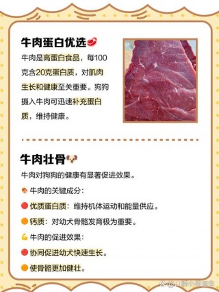 狗狗吃牛肉的好处？狗狗吃牛肉吃哪个部位（最新）