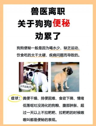 狗狗可以用开塞露吗，（狗狗可以用开塞露吗一天几次）