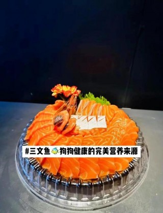 三文鱼对狗狗的好处？三文鱼对狗狗的好处和功效（最新）