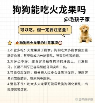 狗狗可以吃火龙果么，狗能吃火龙果吗?？