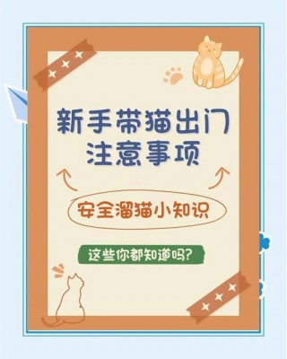 带猫咪出门要注意什么，带猫咪出门要注意什么细节？