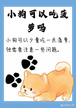 狗狗能吃凤梨吗？狗能吃凤梨不（最新）