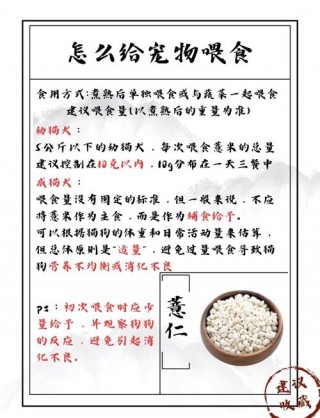 狗狗可以吃薏米吗？狗狗能不能吃薏仁（最新）