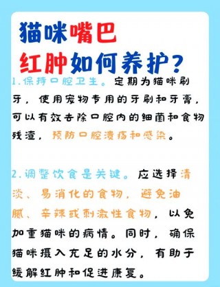 猫咪为什么会得肉芽肿，（猫咪为什么会得肉芽肿病）