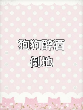 狗狗喝了酒会怎样？狗喝了酒会不会有事（最新）