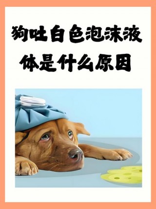 狗狗吃驱虫药后的反应？狗狗吃驱虫药的反应时间是多久（最新）