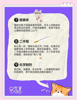 猫咪不喜欢什么味道，（猫咪不喜欢什么味道无害）