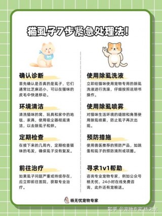 猫咪有虱子怎么去除？猫咪虱子怎么去除最快方法（最新）