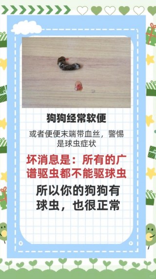 狗狗球虫吃什么药比较好，狗狗球虫吃什么驱虫药？