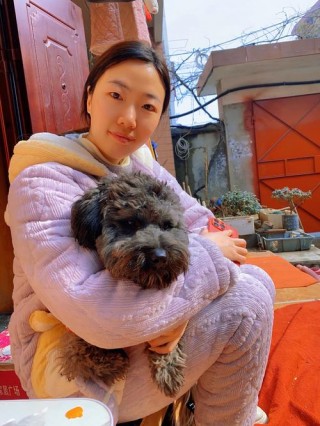 过年狗狗怎么带回家，（过年狗狗怎么带回家吃饭）