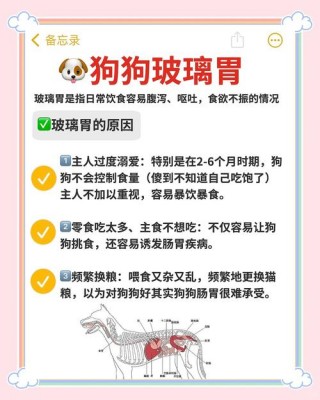 狗狗肠胃炎可以喝水吗，狗肠胃炎不能喝水吗？