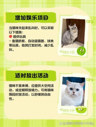 猫咪老叫是怎么回事，猫咪总叫是怎么回事？