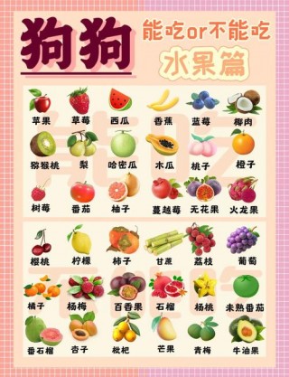 狗狗多大可以吃水果，（狗狗多大吃水果比较好）