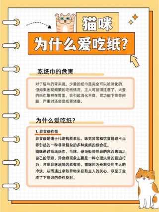 猫咪吃纸怎么办？猫猫吃纸（最新）