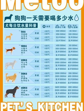 狗狗可以喝茶水吗，（狗狗能不能喝茶?）