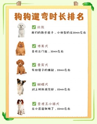 狗狗多大可以出去遛狗，（狗狗多大可以就去遛）