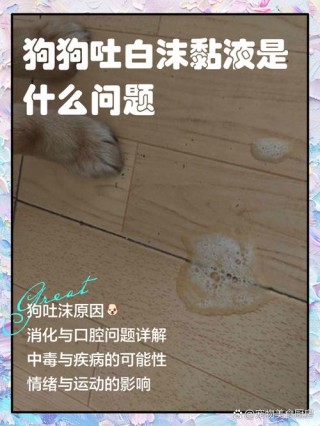 小狗狗吐白沫怎么办，小狗吐白沫怎么救？