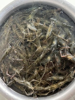 狗狗可以吃河虾吗，狗狗可以吃河虾肉吗?？