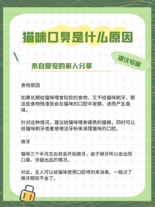 猫猫口臭怎么办，猫咪口臭很严重？