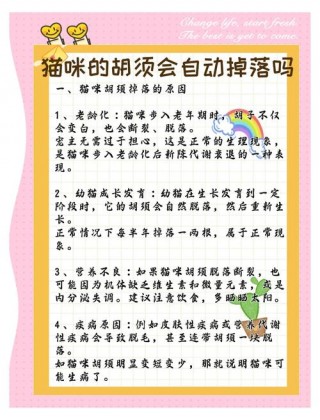 猫咪掉胡子是什么原因，（猫咪掉胡子是什么情况）