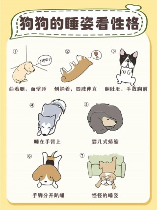 怎么安抚狗狗的情绪？如何安抚狗狗应激反应（最新）