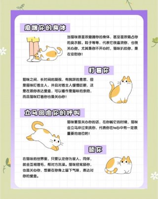猫咪呼噜呼噜是什么意思，猫咪呼噜呼噜的是怎么了？