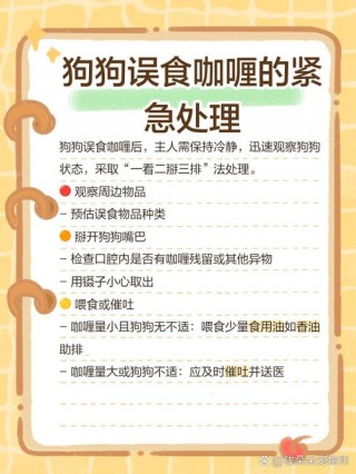 狗狗能吃咖喱吗？狗能吃咖喱不（最新）