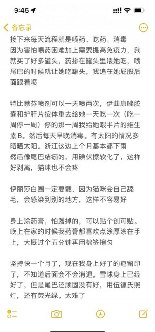 猫咪猫藓怎么治，猫咪猫藓治疗多久能好？