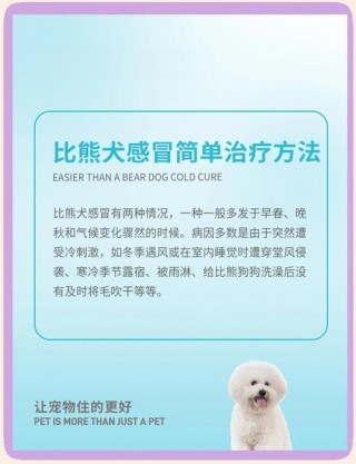 狗狗感冒怎么办，（狗狗感冒怎么办最有效）