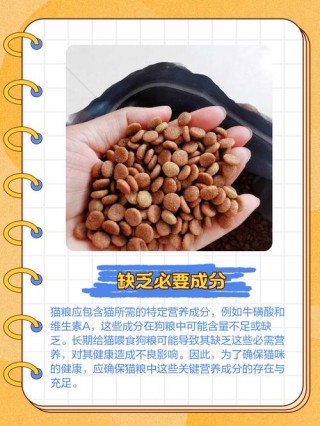 狗粮猫咪可以吃吗，（狗粮猫咪可以吃吗有毒吗）