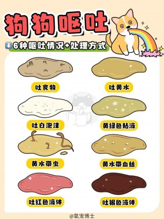 狗狗吃多了呕吐怎么办，（狗狗吃多了吐了怎么办）