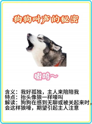 狗狗哼哼唧唧是撒娇吗，狗狗哼唧是委屈吗？