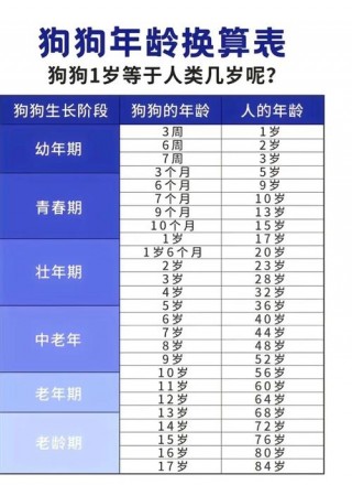 狗狗多大性成熟？狗的性成熟需要几个月（最新）