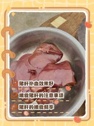 猫咪吃猪肝有什么好处？猫咪最爱吃的10种食物（最新）
