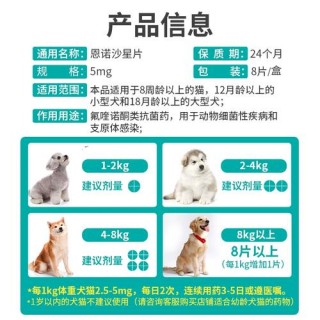 猫咪尿道炎吃什么药，（猫咪尿道炎吃什么药效果最快）