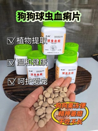 狗狗滴虫一般几天能好，狗狗滴虫有什么症状？