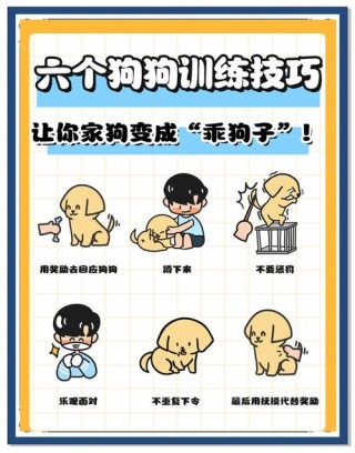 训练狗狗的基本方法，（训练狗狗的教程）