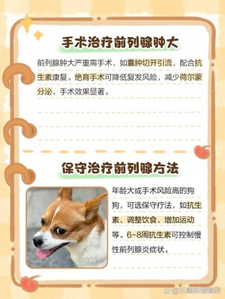 狗狗前列腺肿大的症状，狗狗前列腺肿大的症状表现？